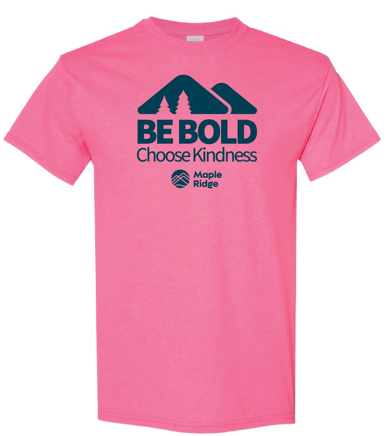 Picture of Pink Shirt Day T-Shirt